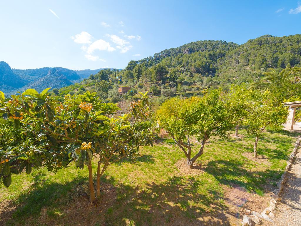 Bunyola Villa Dış mekan fotoğraf